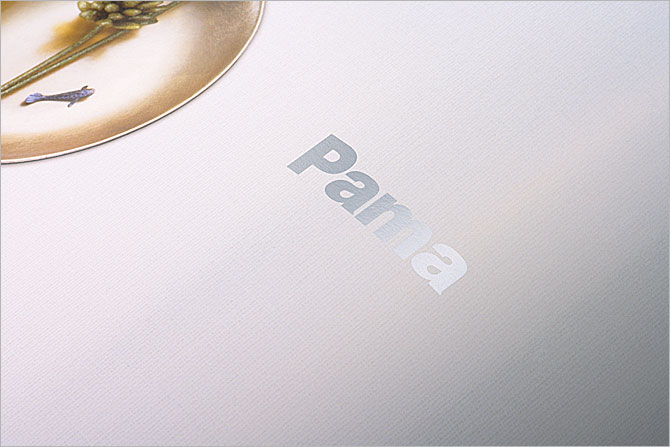 黑眼睛廣告為Pama印刷的產品畫冊內頁實拍效果，印刷工藝為CMYK+專銀（五色印刷）